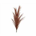 Lumineo RUST PAMPAS PLUME 1PK 486252